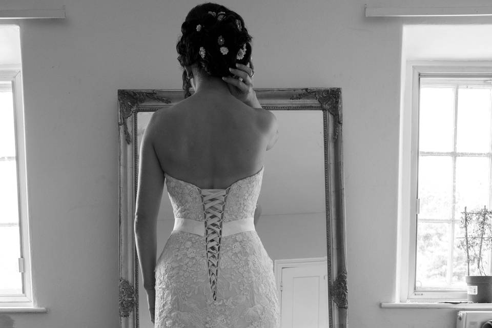 Back of the Dress