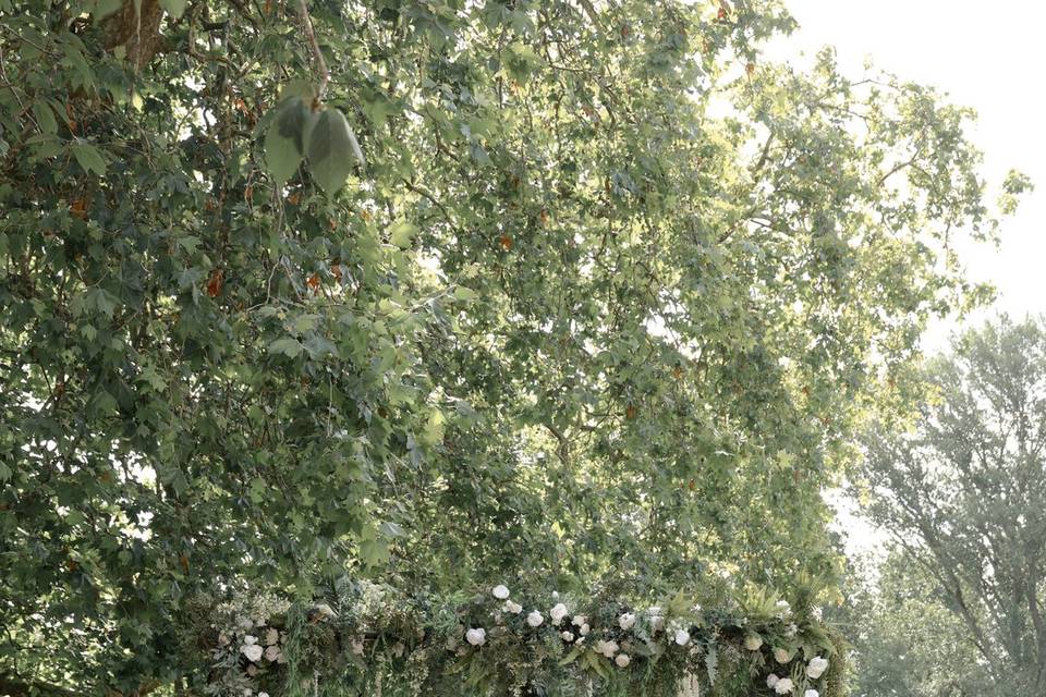 Outdoor Ceremony
