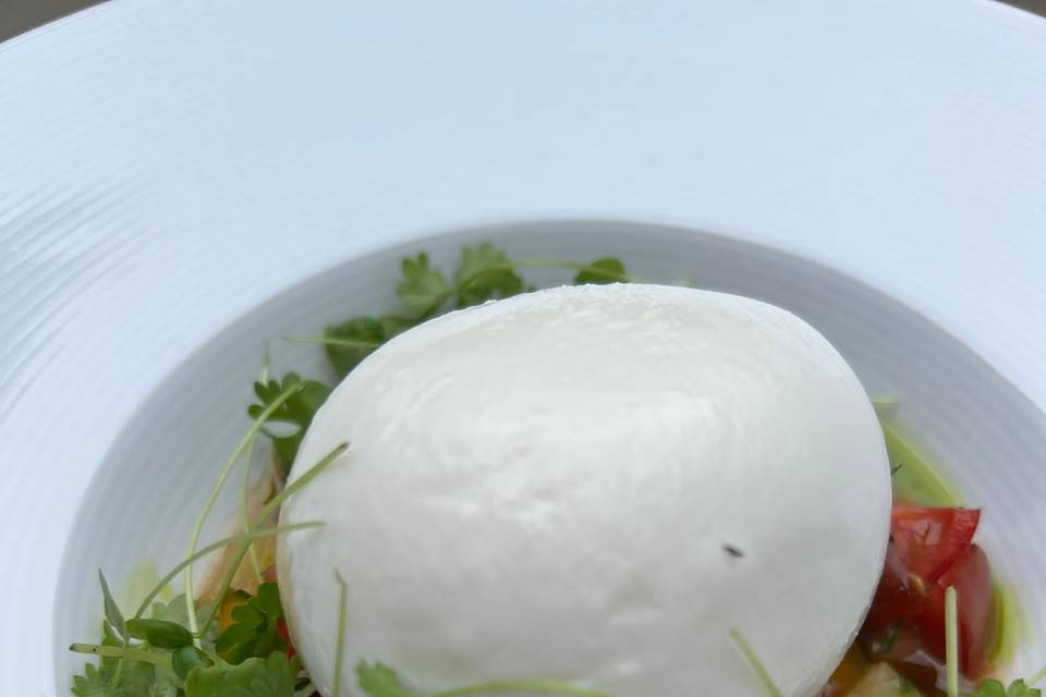 Burrata