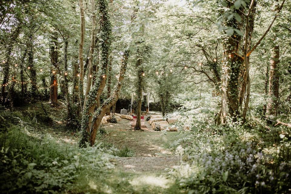 Twinkling lights in the woods