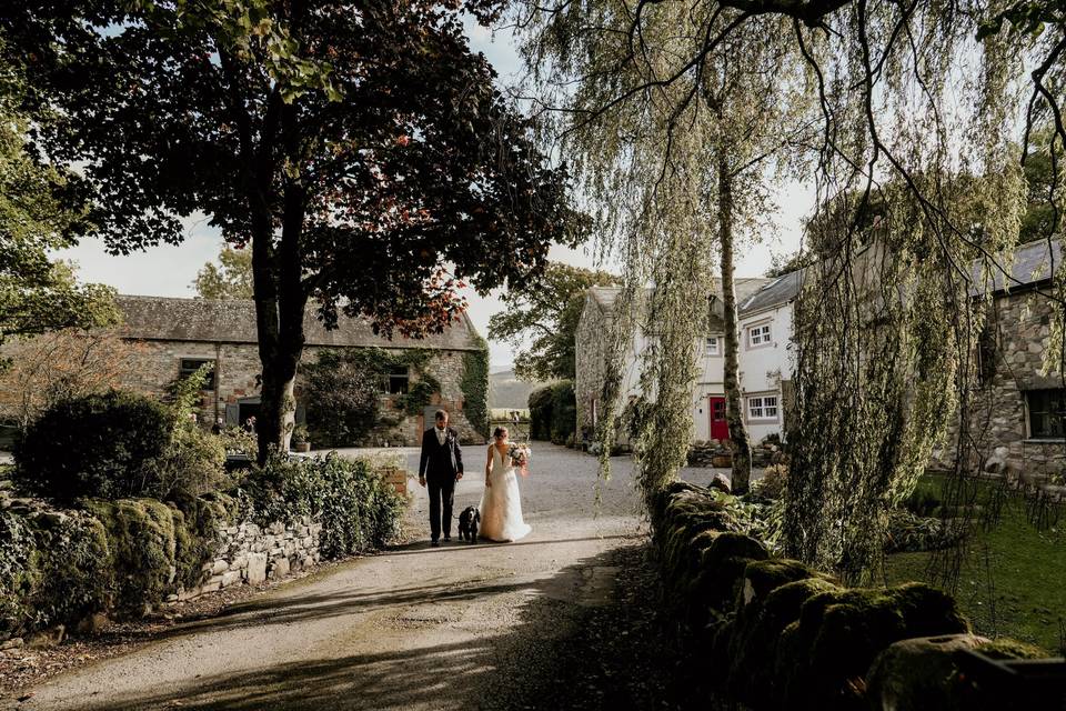 Wandering down the lane