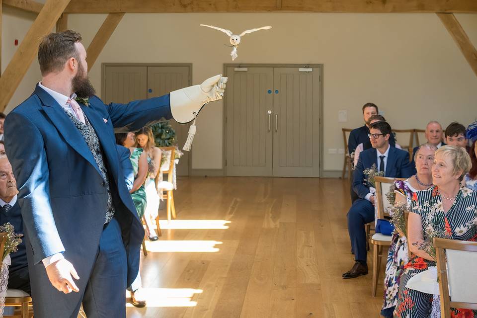 Owl Ring Bearer