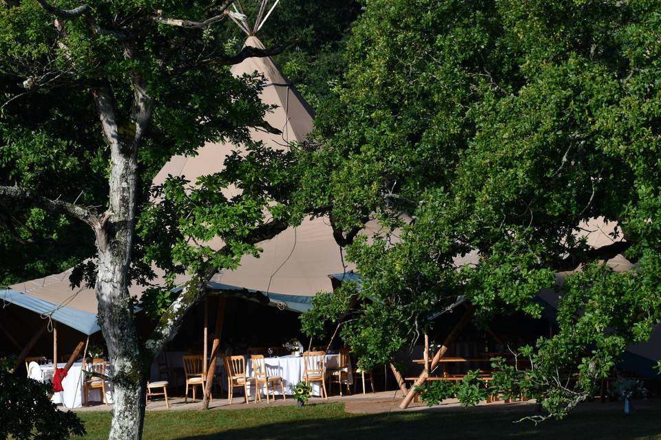 Tipi through trees