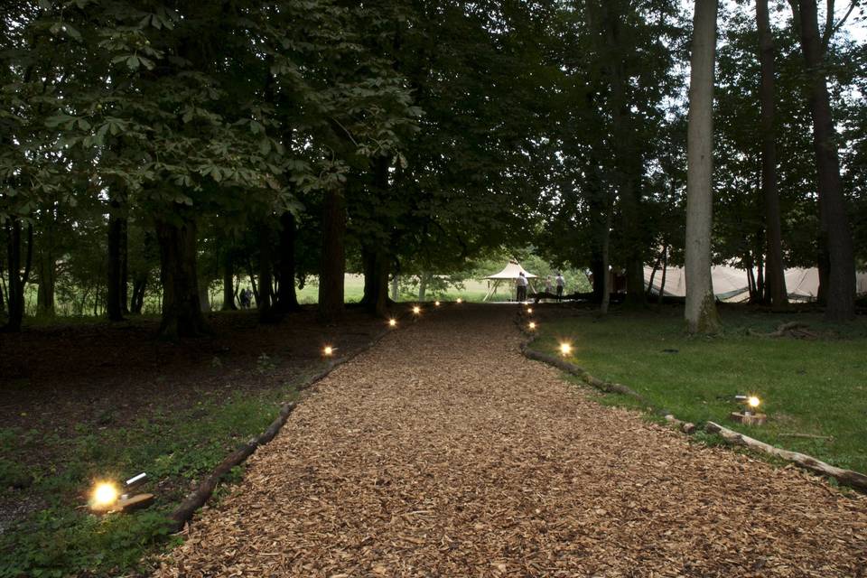 Woodland path