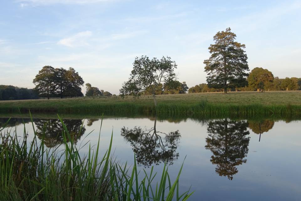 Springwood pond