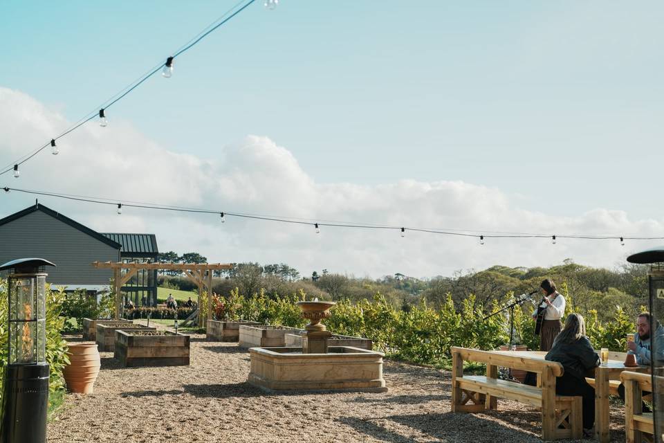 Kitchen garden