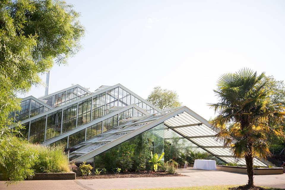 Princess of Wales Conservatory