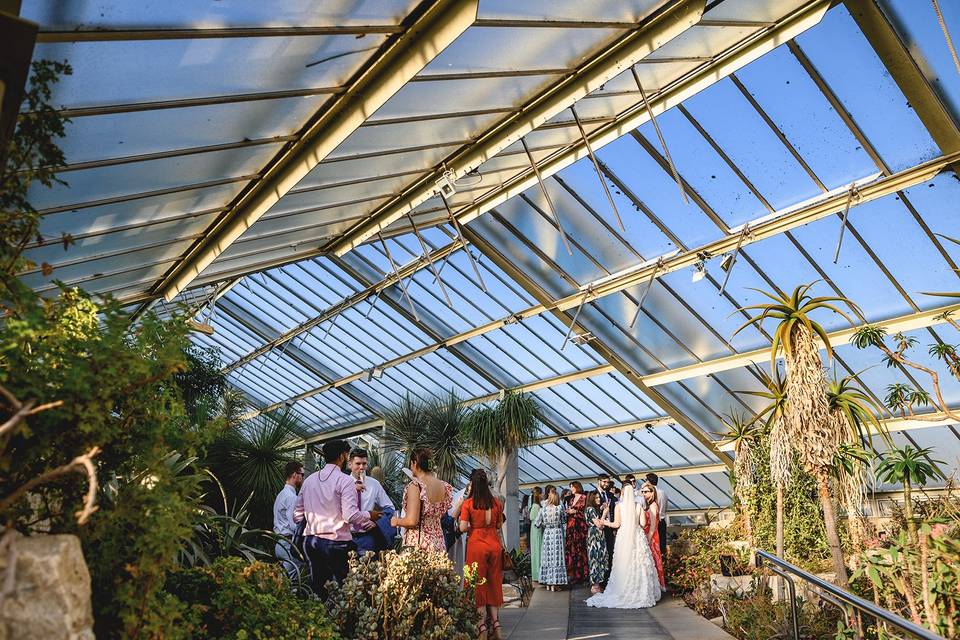 Tropical botanical glasshouse