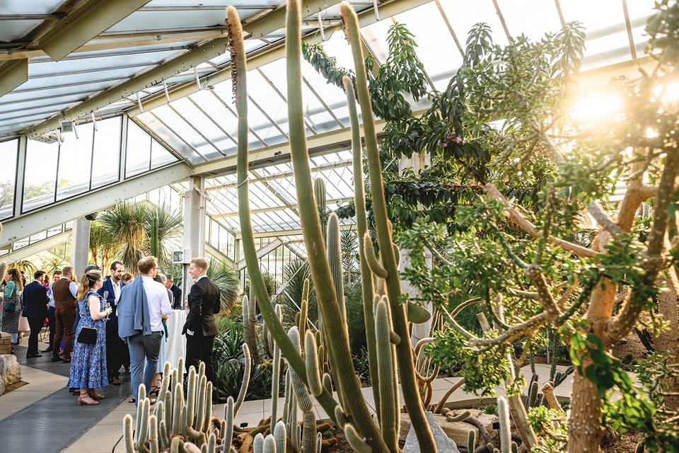 Botanical glasshouse