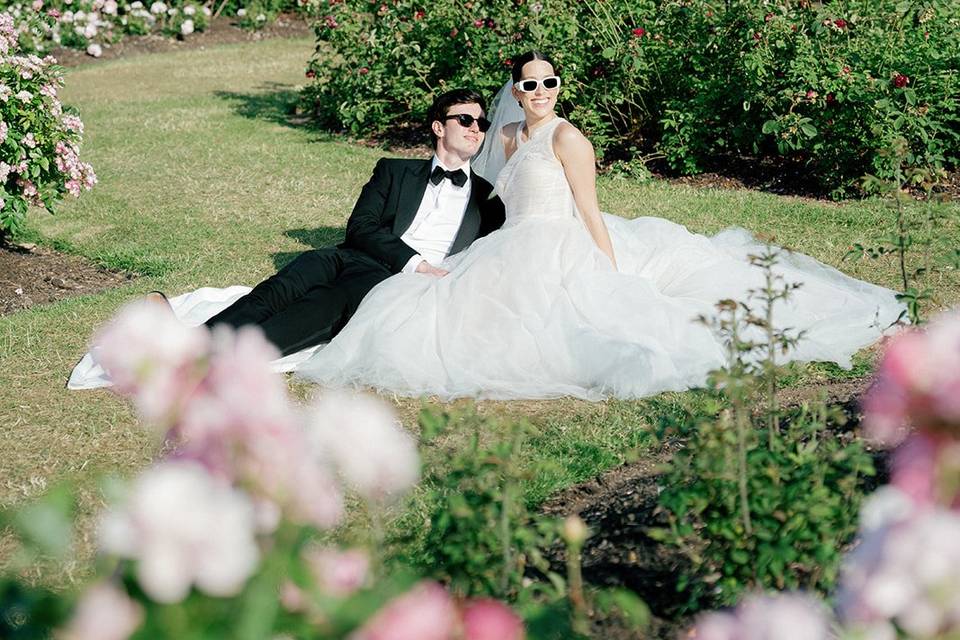 Dazzling in the Rose Garden