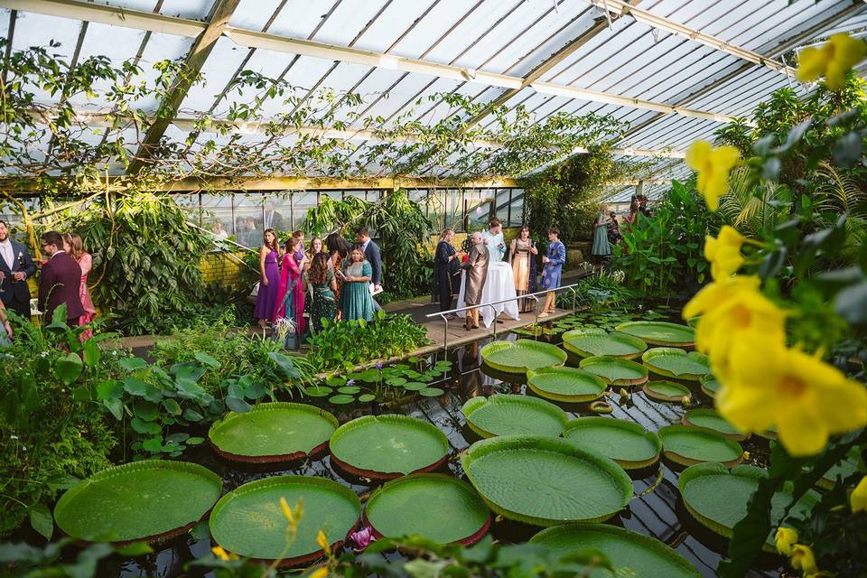 Tropical botanical glasshouse