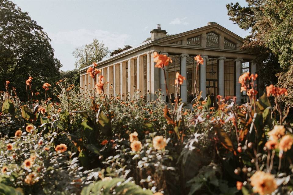 Autumnal glasshouse
