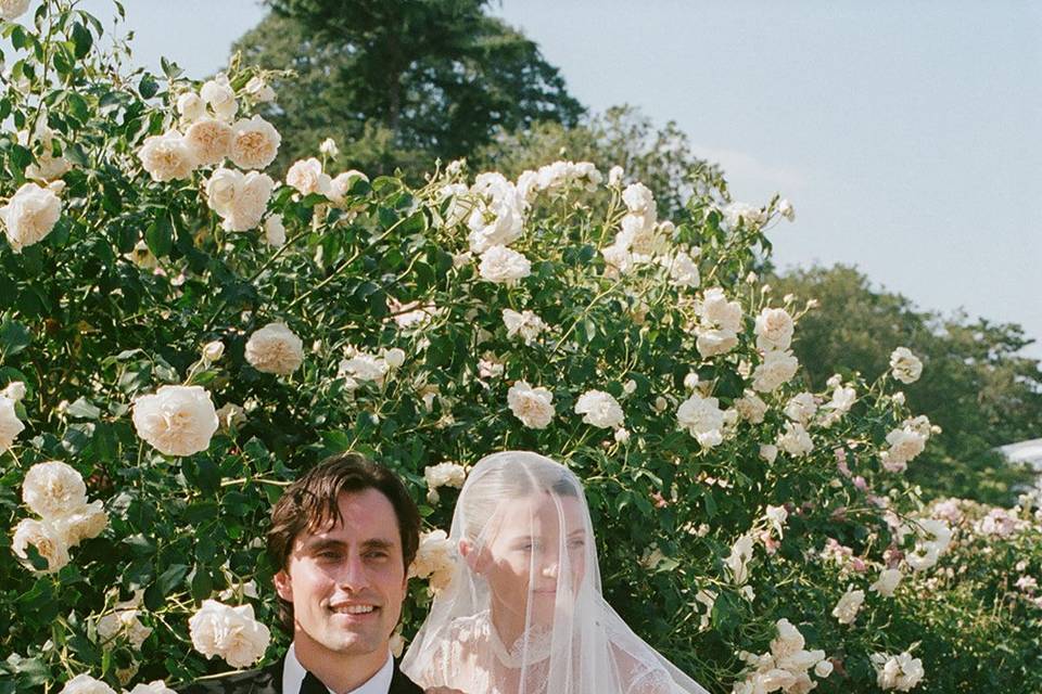 Rose Garden Romance