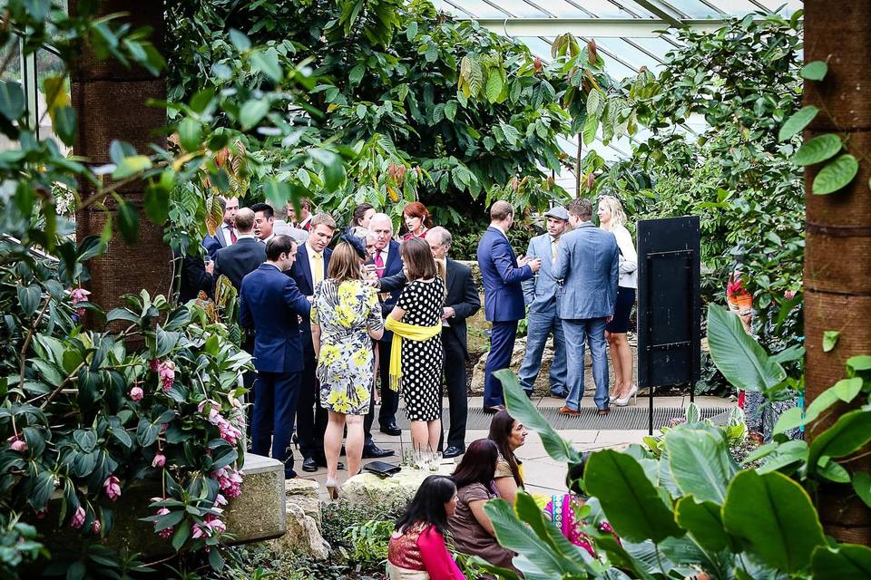 Temperate House. Kew Gardens