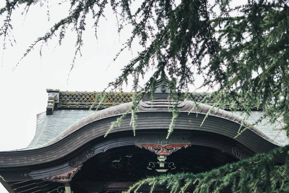 Exploring the Japanese Gateway
