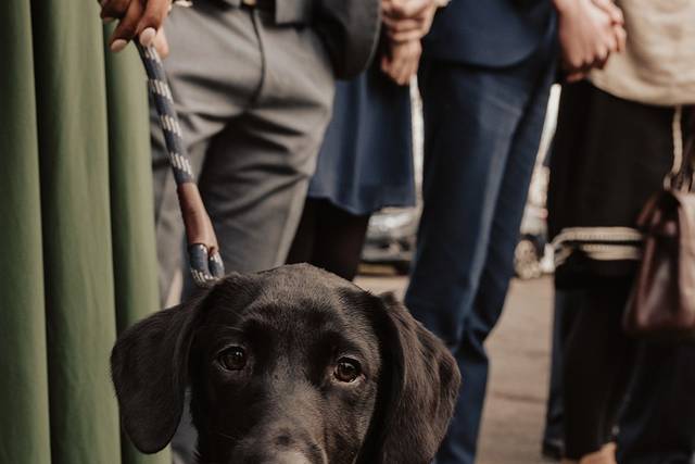 Our venue is dog friendly!