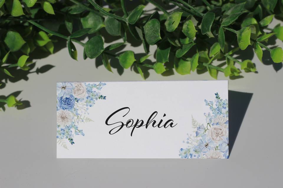 Floral Blue Place Cards