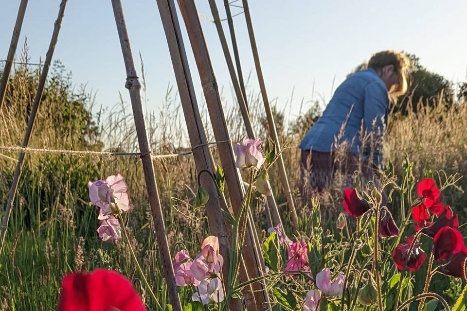 Real flowers grown with love