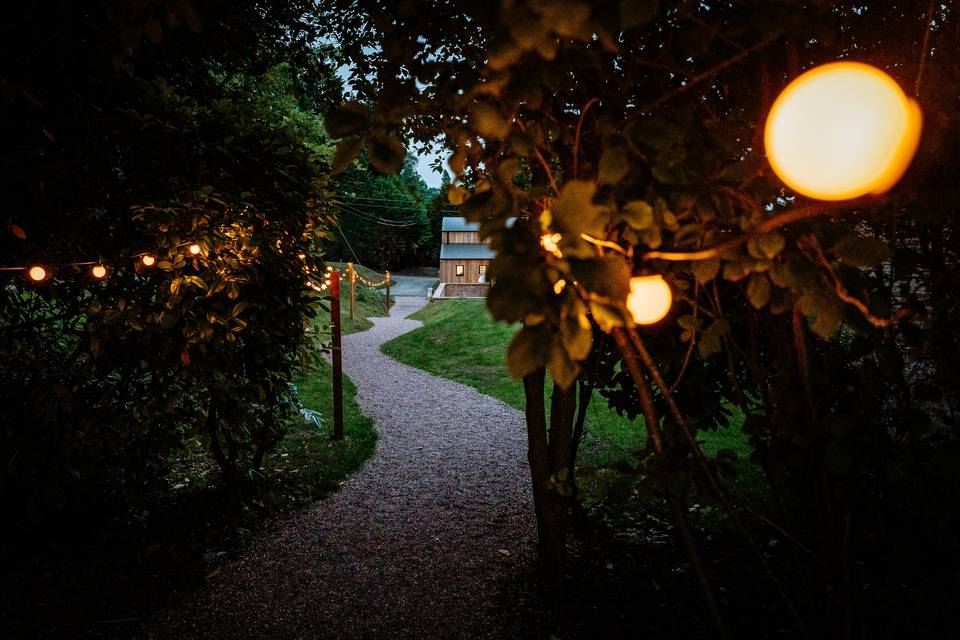 Festoon Path at Night