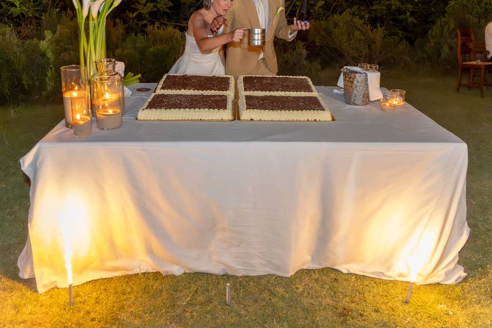 Wedding tiramisu cake