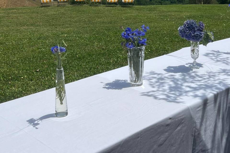 Vista