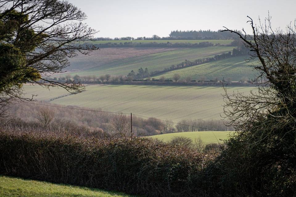 Dudmore lodge grounds (1)