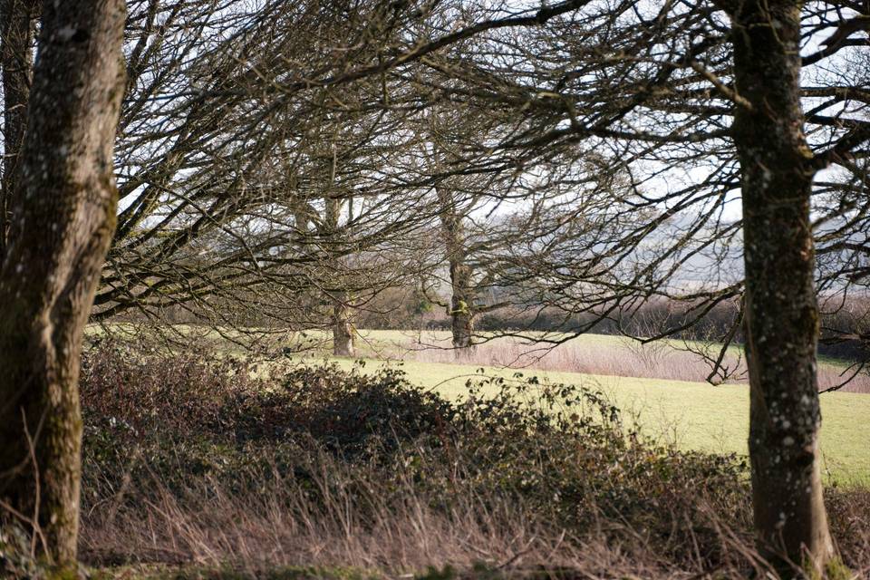 Dudmore lodge grounds (3)