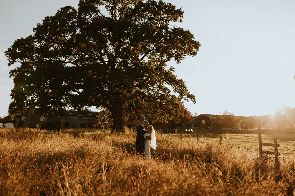 Marshwood Manor