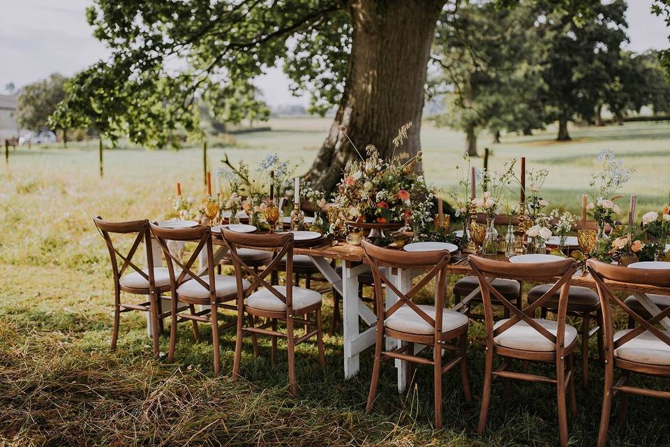 Under the oak