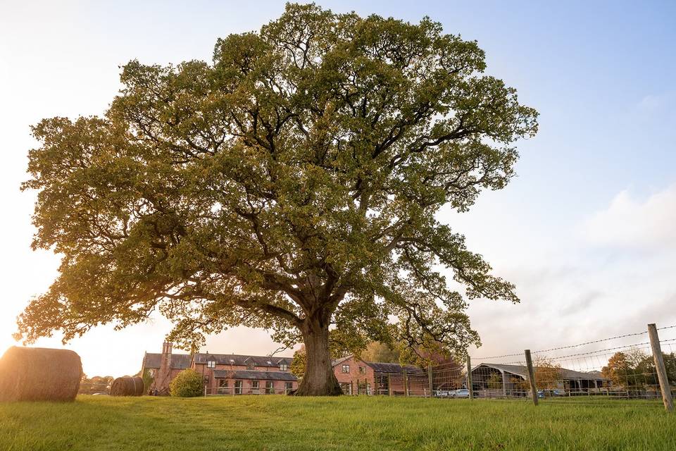 Marshwood Manor