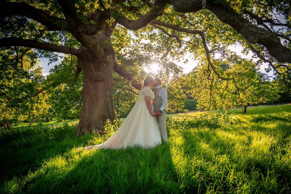 Under the tree.