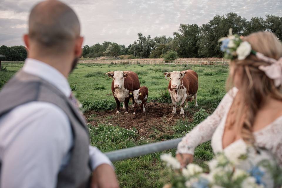 Farm Venue - Becky Harley