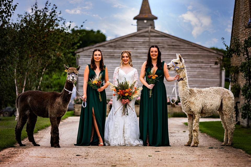 Laura Greene Photography