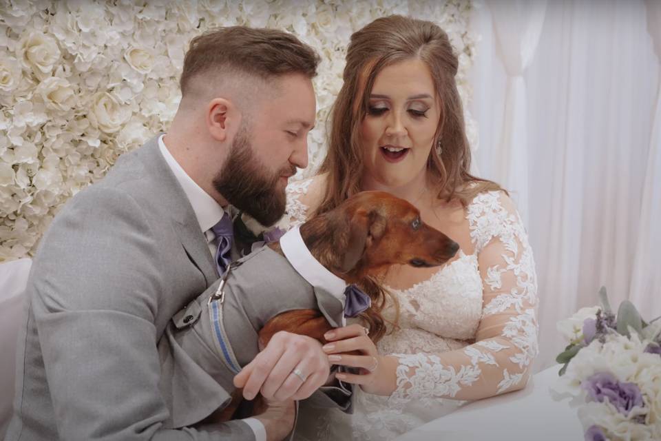 Rolo the groomsdog