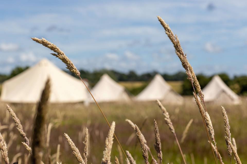 Wedding tents