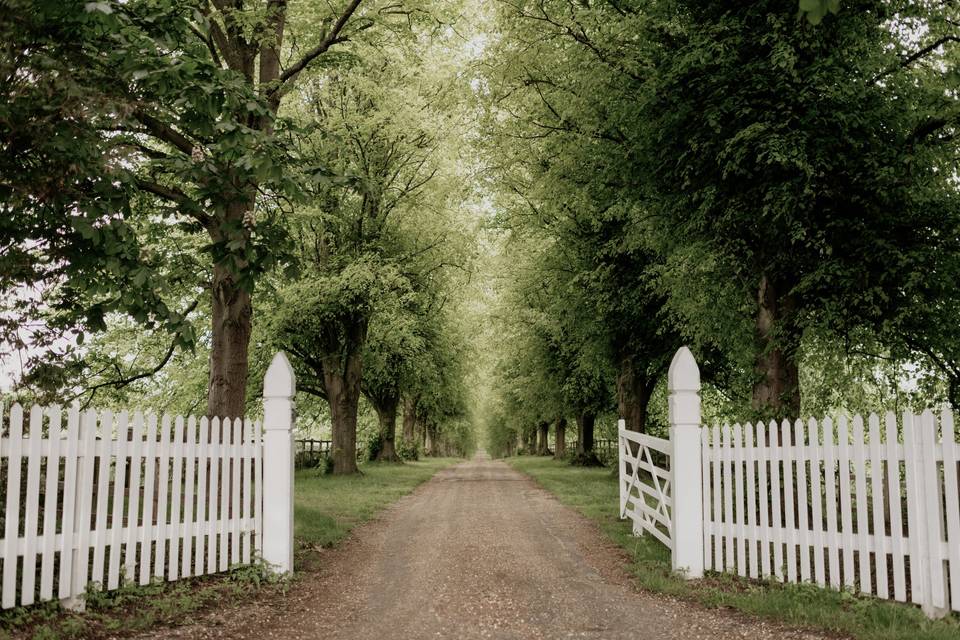 Notley Abbey driveway