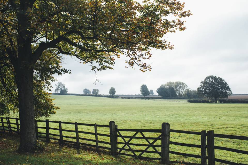 Views from Notley Abbey