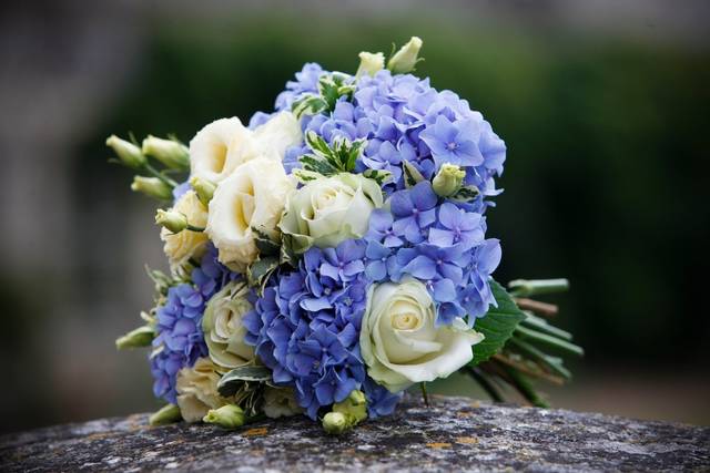 Herts Flowers