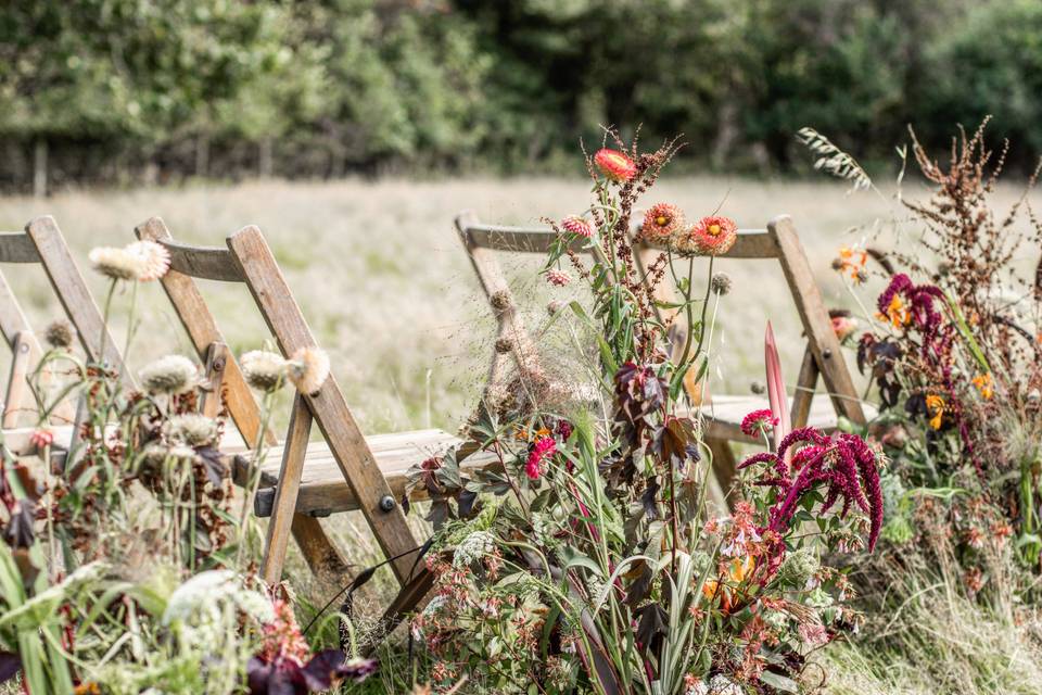 Flower prairie