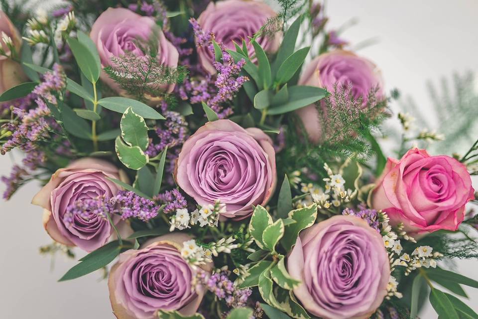 Purple roses