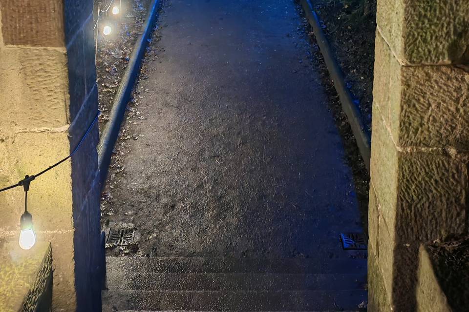Fairy lights walk