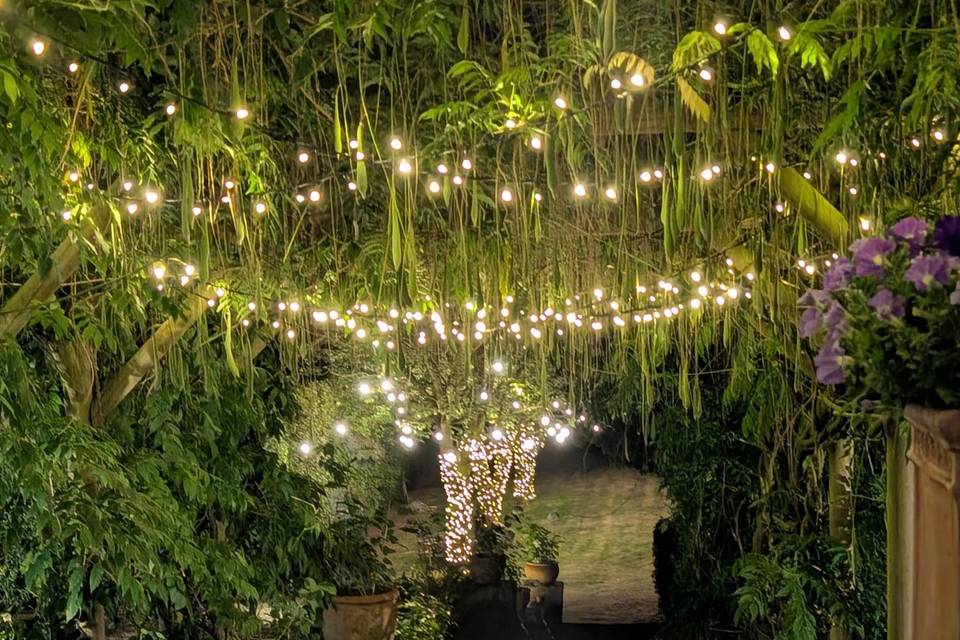 Summer Fairy Lights