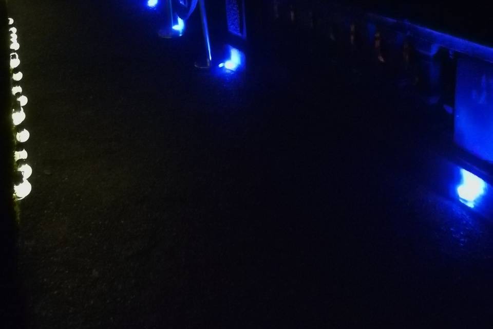 Pathway Lights in Blue