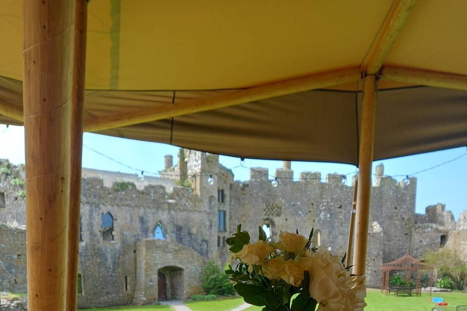 Castle views