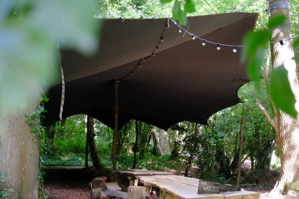 Canopy and 60-person table