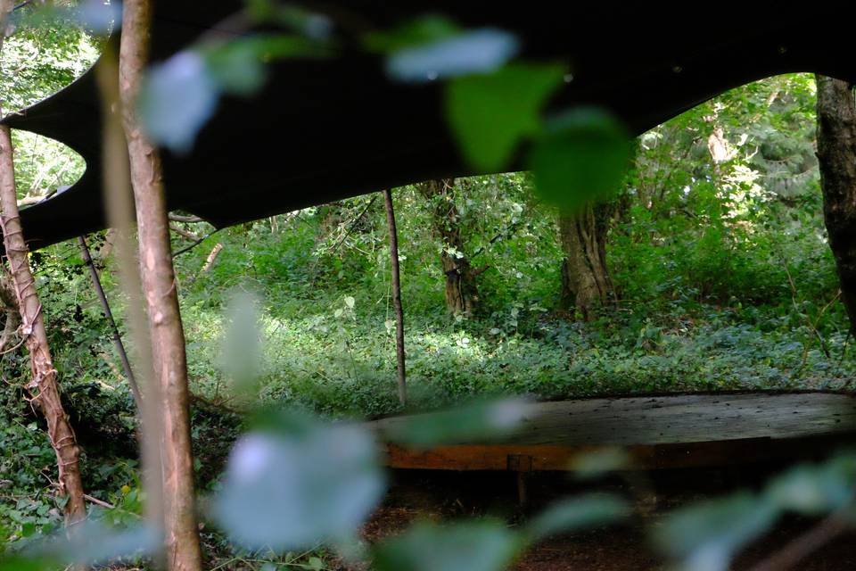 Canopy across the stage