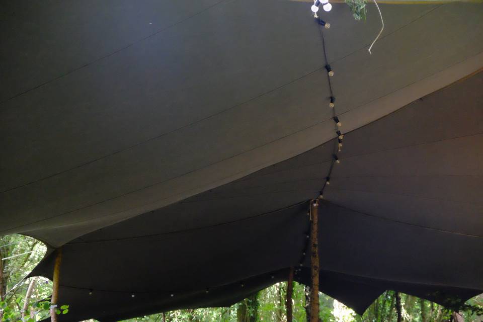 Festoons in canopy