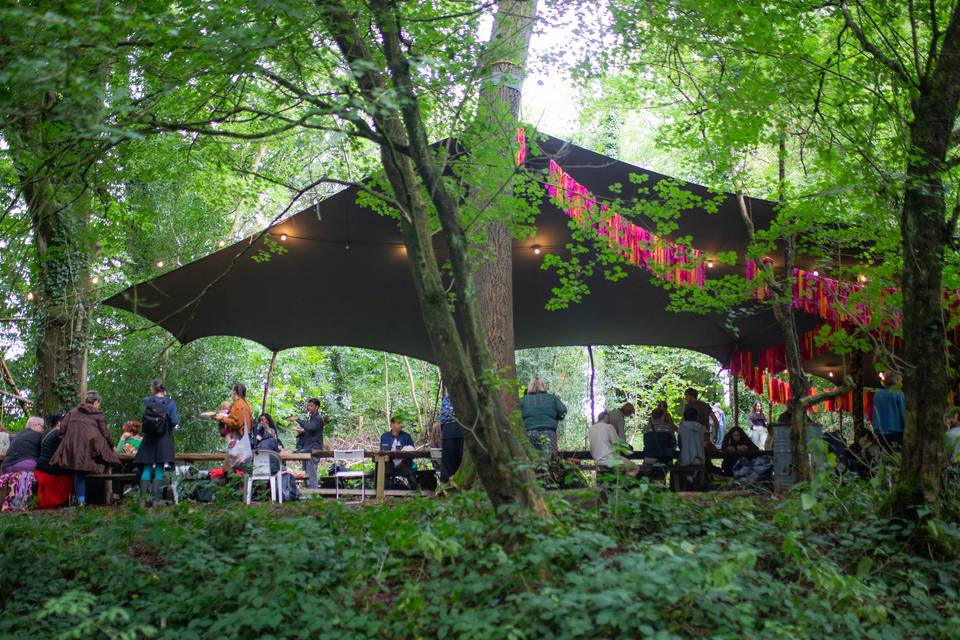 From below the canopy