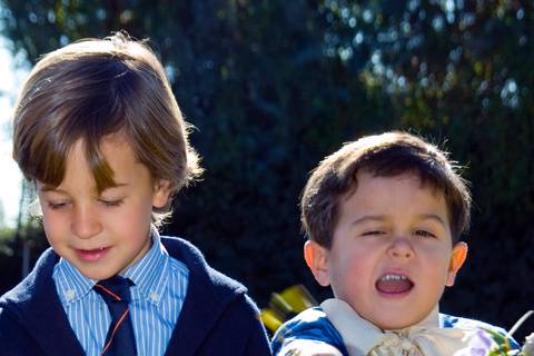 Ring Bearer