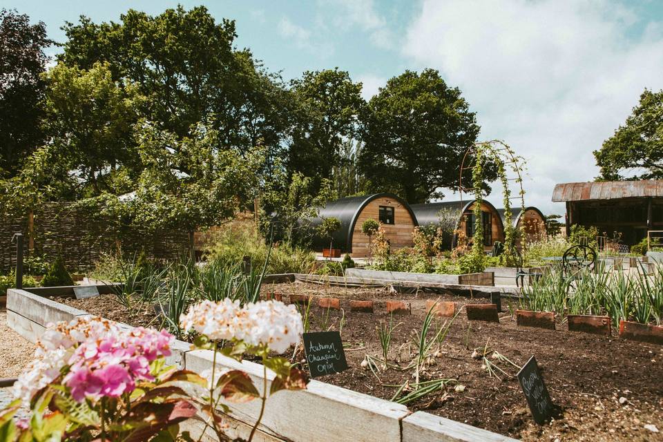 Kitchen Garden and Pyggies